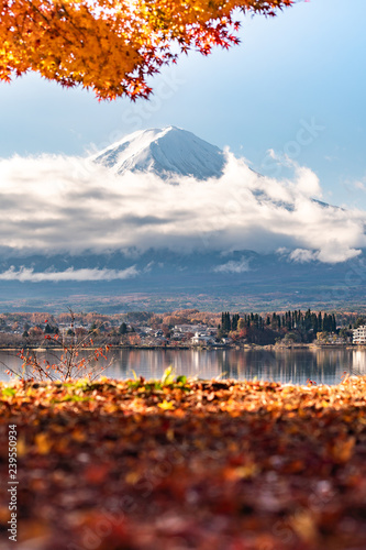 Colorful Autumn in Mount Fuji, Japan - Lake Kawaguchiko is one of the best places in Japan to enjoy Mount Fuji scenery of maple leaves changing color giving image of those leaves framing Mount Fuji. photo