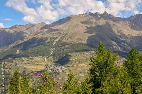 Scenic view of mountain peaks in summer with an alpine village, forest and pink flowers in the foreground, Cogne, Aosta Valley, Alps, Italy 