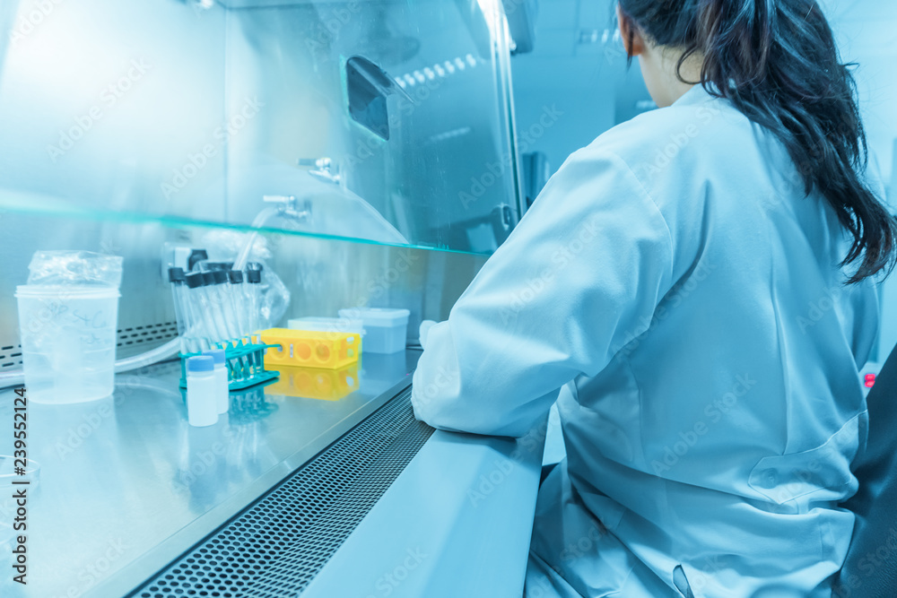 Asian scientist working in the lab,Doing experiment for product,The researchers analyzed to find the results of the experiment. Asian scientist working in the lab,Doing experiment for product,The researchers analyzed to find the results of the experiment.