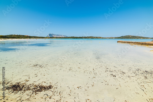 Fototapeta Naklejka Na Ścianę i Meble -  Tavolara and Berchida beach