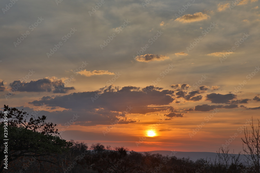 African Sunset