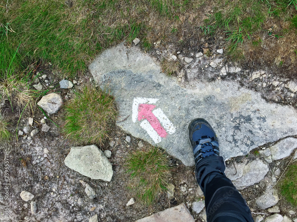 Obraz premium at the beginning of the hike, a trip through the mountains of the Carpathians in Ukraine, on the way