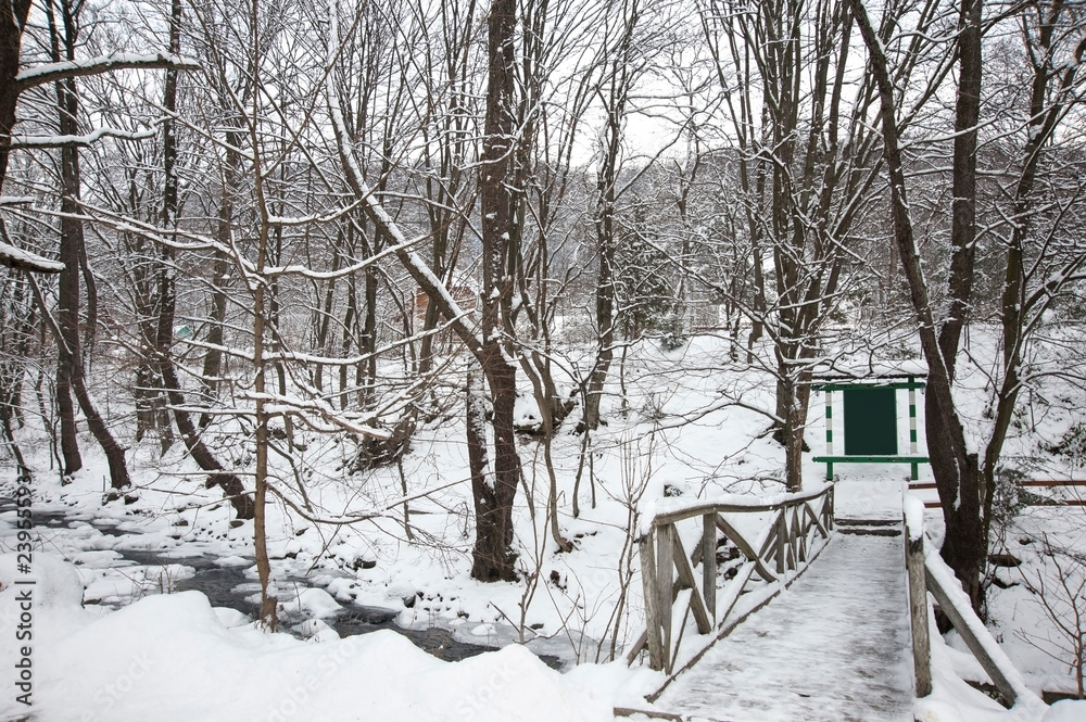 A wooden bridge across a mountain river flowing in a snowy winter forest