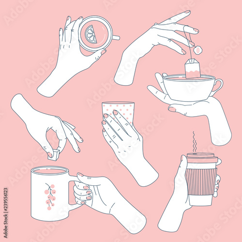 Women hands set. Hands holding tea and coffee cups and mugs. Coffee lovers collection. Feminine illustration. Vector illustration