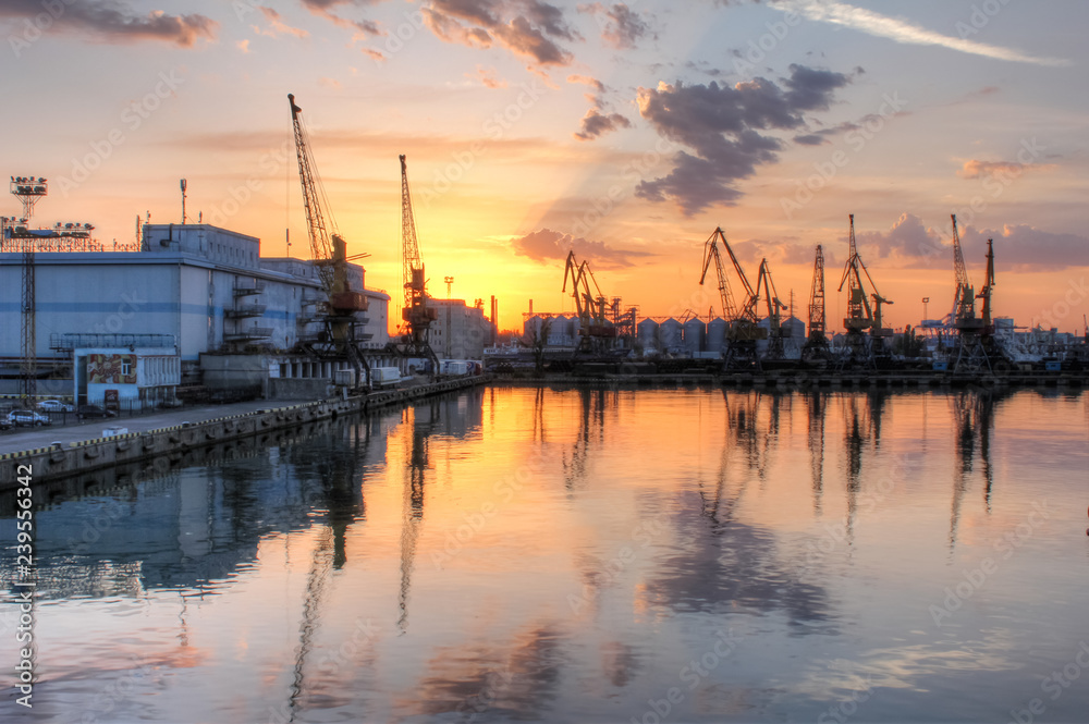 Loading grain in the port. Evening panoramic view of the port, cranes and other port infrastructure.