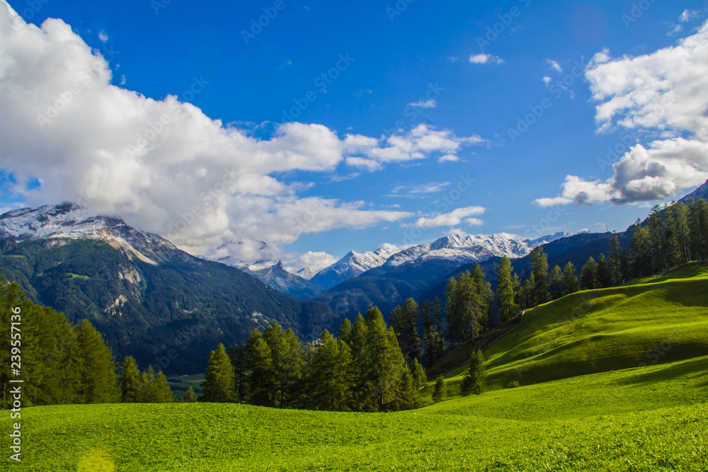 Mountain meadow in summer in Graubünden Switzerland with a wide view of the valley