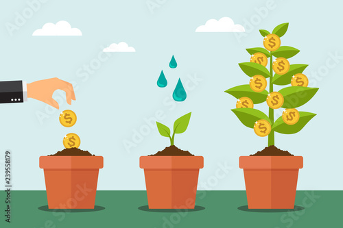 Money tree