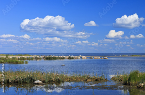 Baltic Sea seashore landscape behind P  rnu.