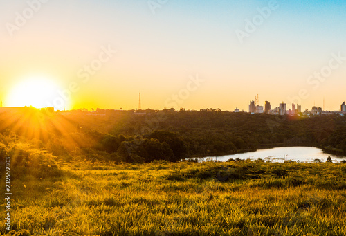 sunset over the field