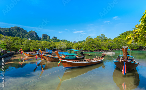 Landscape with traditional longtail boats parking, Andaman Sea, Phi Phi island, Krabi Province, Thailand