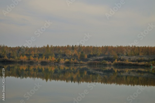 Autumn morning mood on the shore of a lake with light fog and trees on the shore 