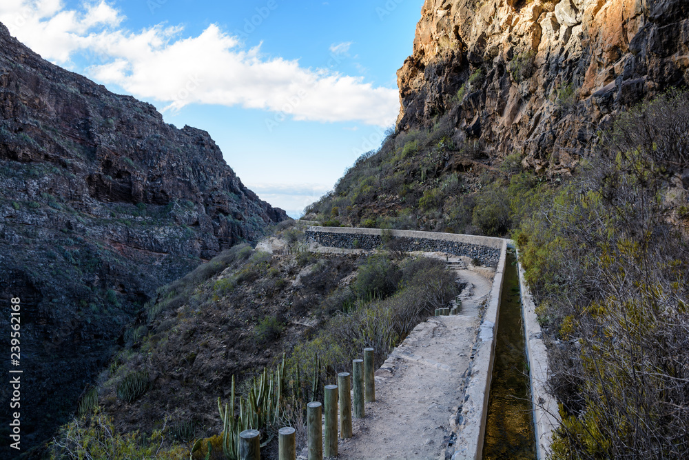 Fototapeta premium small channel for water supply in Tenerife