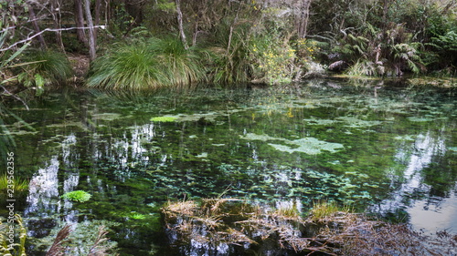 Landscape image of the waters of Waikoropupu Springs  New Zealand