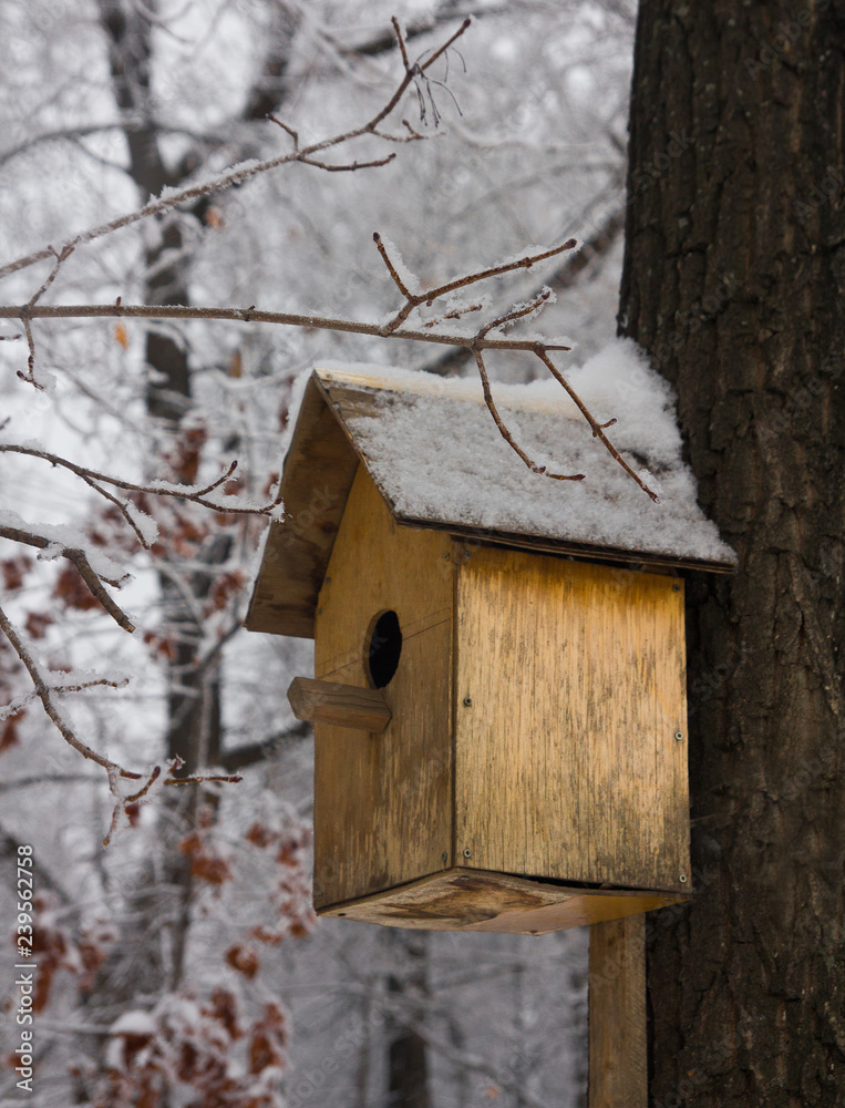Birdhouse empty in a cold winter forest