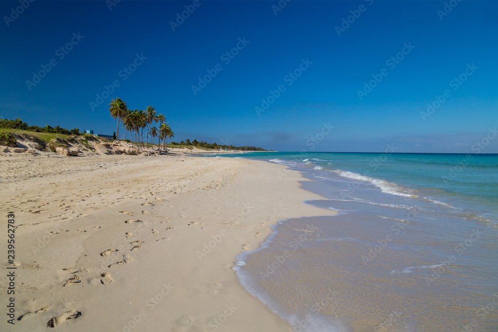 Tropical paradise beach with white sand and palm trees
