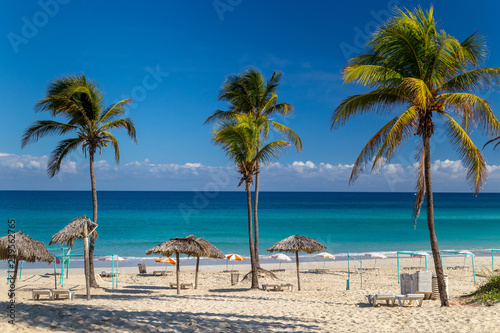 Palm trees on a paradise beach. Cuba, the Caribbean