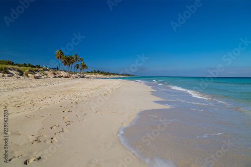 Tropical paradise beach with white sand and palm trees