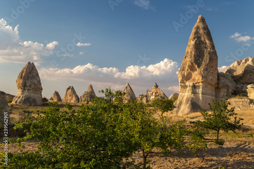 Rock formations called fairy chimneys. Cappadocia  Turkey