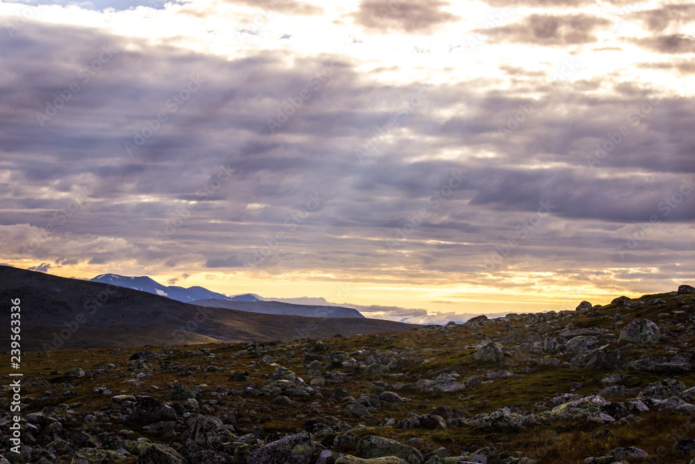 Rays of Sun