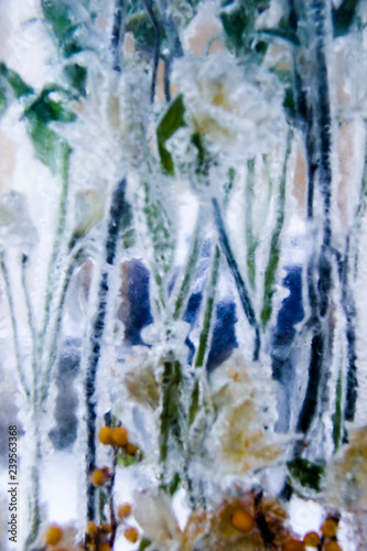 Winter wonderland. Winter scene with crystal flowers in ice. Frozen winter flowers and petals, abstract. Winter, Christmas composition. Soft focus, blurred photo. Winter background. Art, illustration.