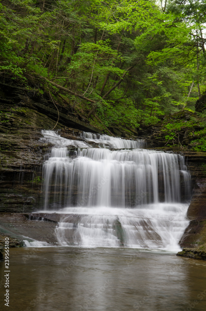 waterfall in the park