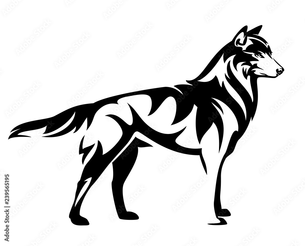 standing wild wolf back and white vector side view outline