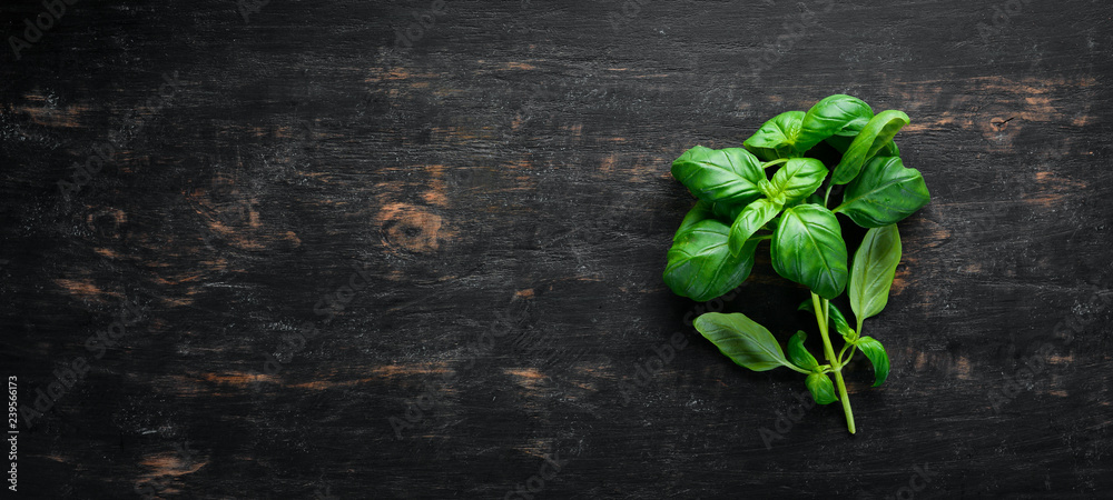Fresh basil and spices. On a black wooden background. Top view. Free copy space. - obrazy, fototapety, plakaty 