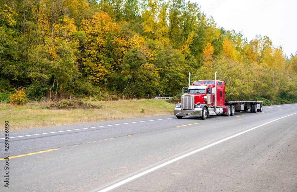 Red icon big rig classic semi truck with flat bed semi trailer running on the autumn road with green and yellow trees
