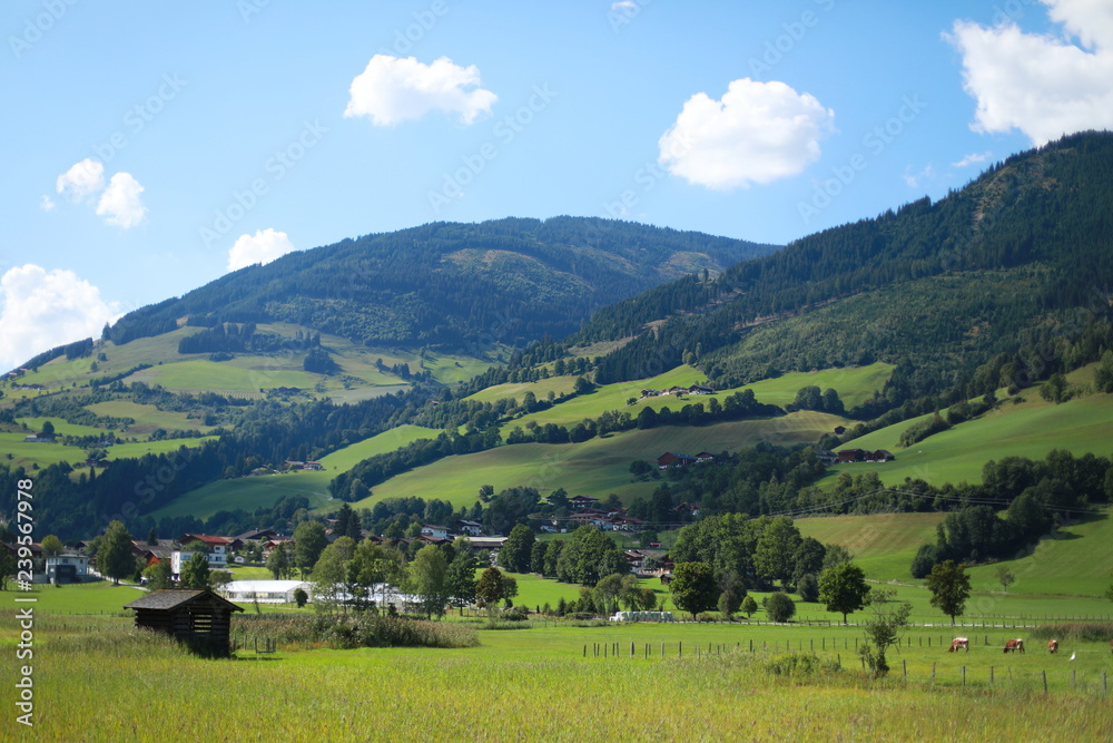 Alpine fields in Austria