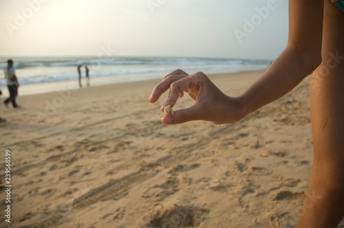 The child gently holds the shrimp in his fingers against the background of a huge ocean at sunset.