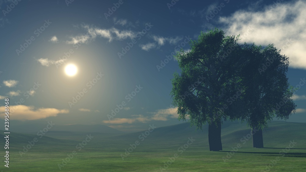 Trees at sunrise in the mist on the hill, sunset over the tree on the hill
