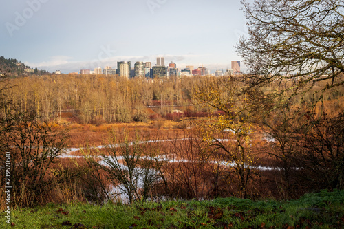 Portland Skyline form Oaks Bottom