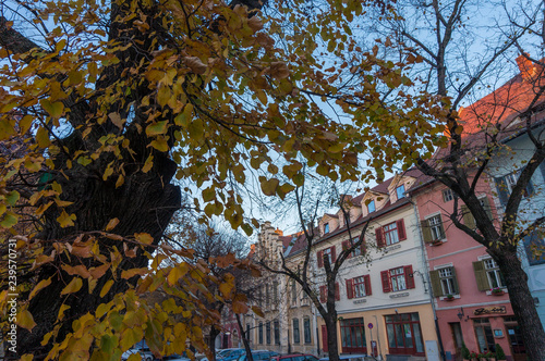 autumn in the city