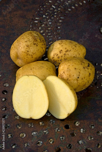 Carlita potato photo