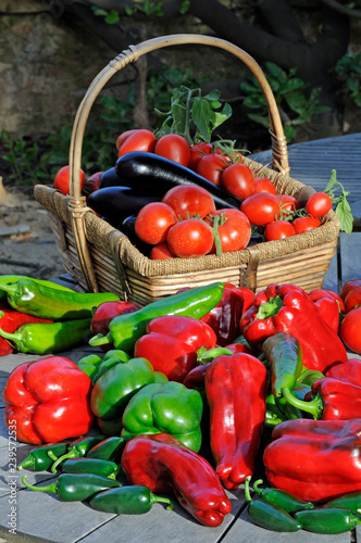 Basket of vegetable photo