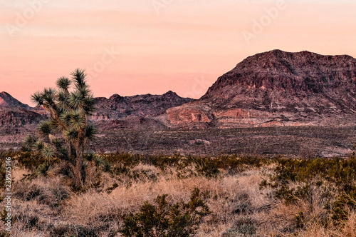 Arizona Sunrise 