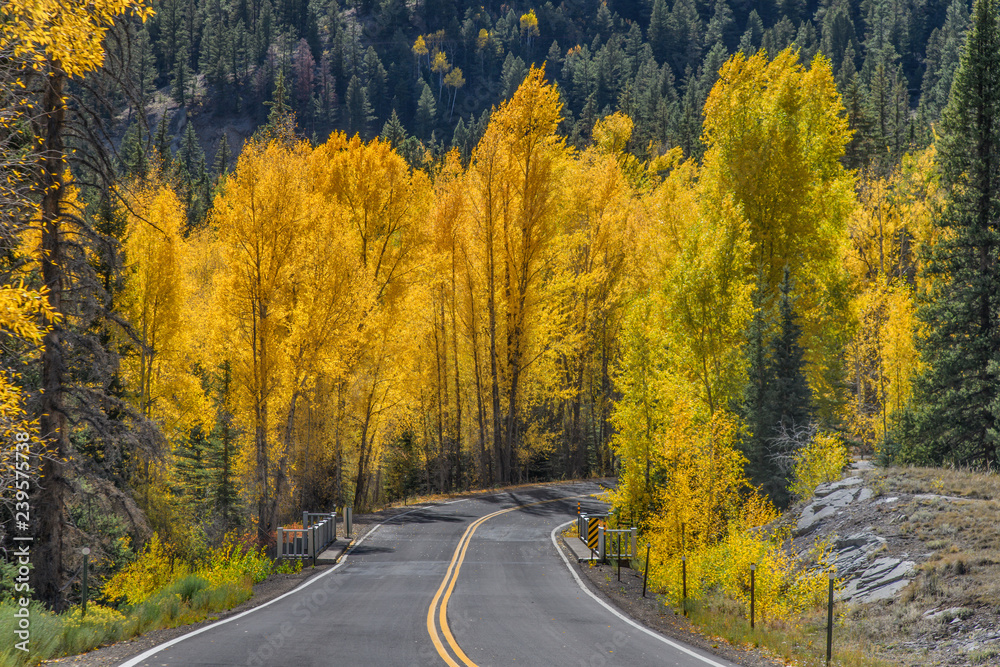 Obraz premium Lines on the Map #46