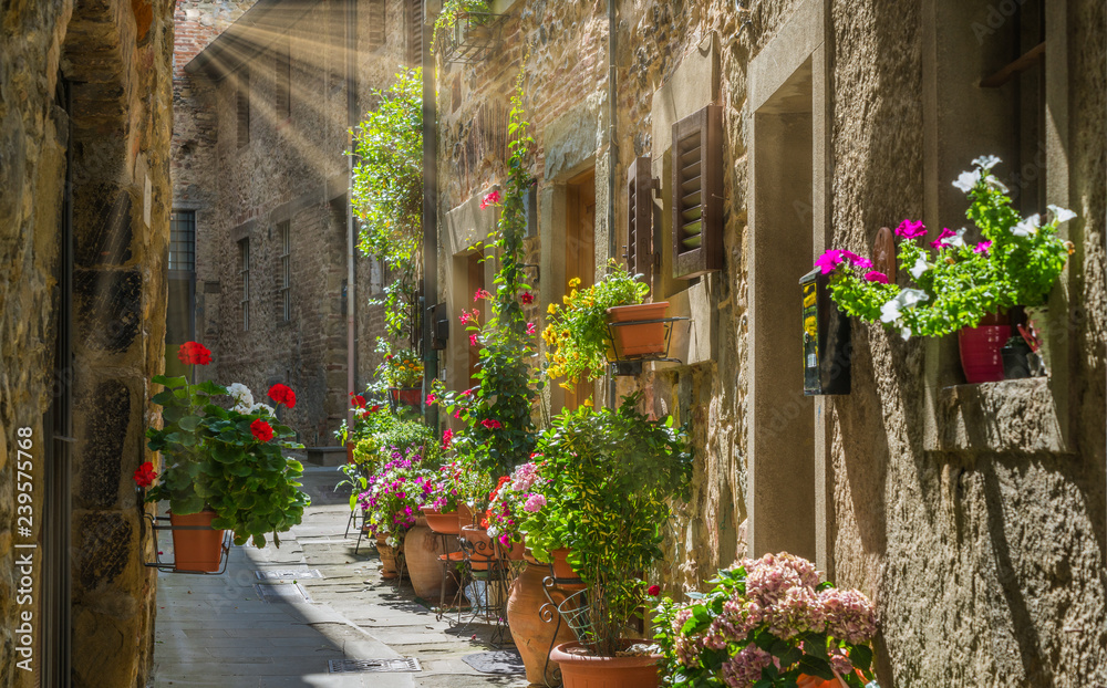Fototapeta premium Malowniczy widok w Anghiari, w prowincji Arezzo, Toskania, Włochy.
