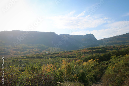 Landscape with vineyard near Alushta by early autumn, Crimea, Russia 