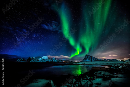 Aurora Borealis. The green Lady © stein