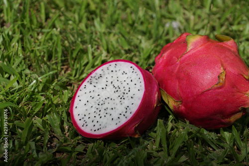 dragon fruit on the grass 