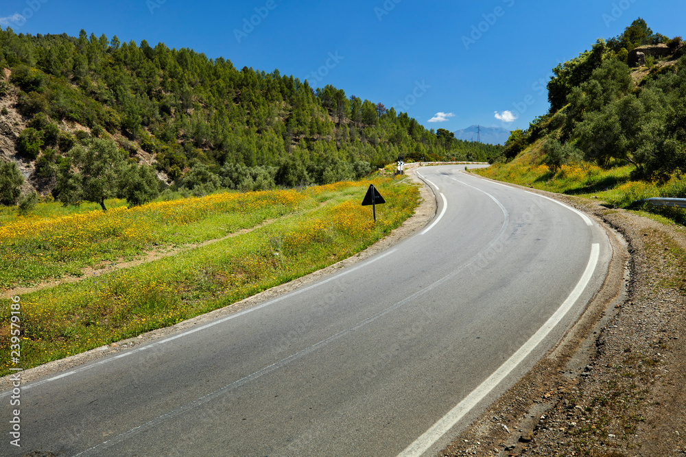 curved asphalt road in summer day without cars