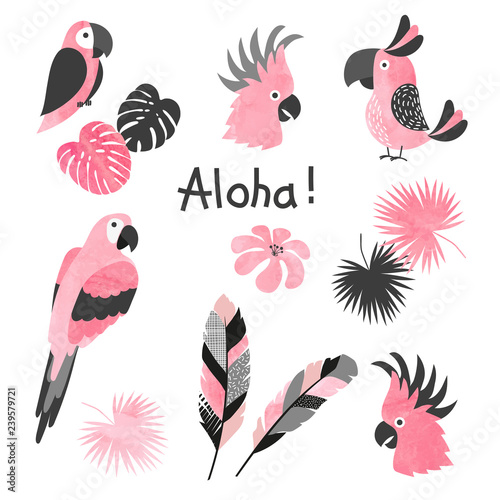 Set of cute pink watercolor parrots. Vector collection of tropical birds and palm leaves.