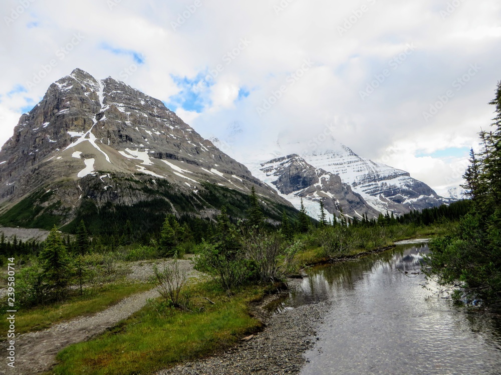 A path leading to the beautiful Mount Robson glacier along the Berg Lake trail, in Mount Robson Provincial Park, British Columbia, Canada