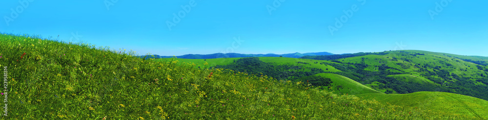 Panorama summer flower meadow in the mountains, tourism. Beautiful view landscape. Fresh green rural meadows on a sunny day with blue sky