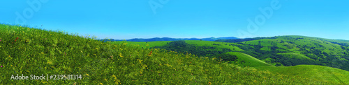 Panorama summer flower meadow in the mountains, tourism. Beautiful view landscape. Fresh green rural meadows on a sunny day with blue sky