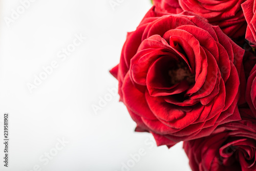 Beautiful bouquet of red roses, love and romance concept