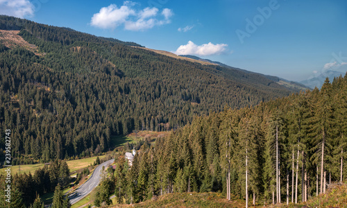Autumn forest in the mountains. Austria. High spruce and gentle slopes of the Alps. Thick grass at the foot of the trees. Not far away is the lake Weissensee. Below the road and the church
