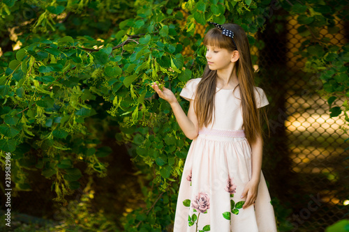 Portrait of beautiful little girl in elegant dress in green summer field