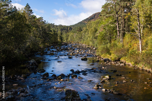 Fototapeta Naklejka Na Ścianę i Meble -  Trickling stream in Scottish Highlands fall foliage